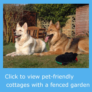 pet freindly cottages with a fenced garden